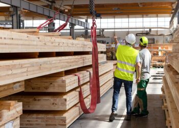 image : Atelier : « Piveteau Bois et le DDMRP »